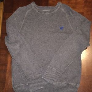 American Eagle Cotton Crew-Neck Sweater